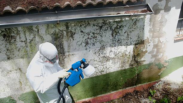 Trusted Mold Testing service in Garfield, TX - Cheap Mold Removal